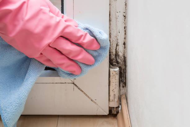 Best Asbestos and Lead Testing During Mold Inspection  in Huntsville, MO